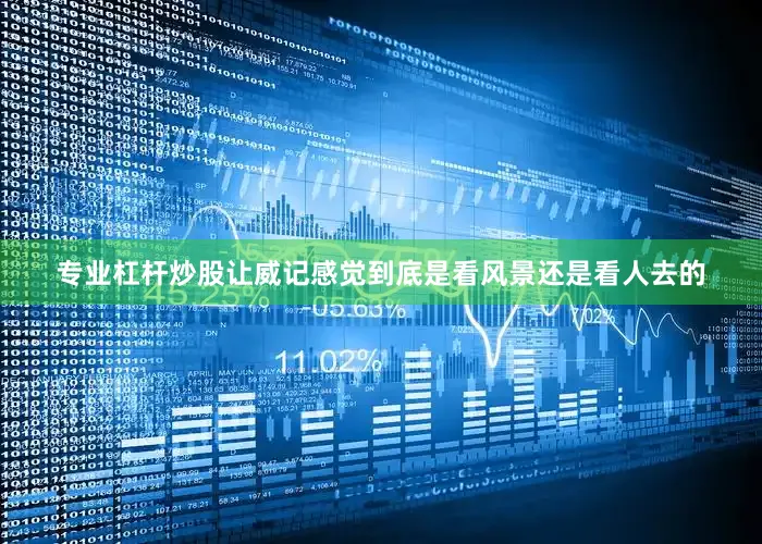 专业杠杆炒股让威记感觉到底是看风景还是看人去的