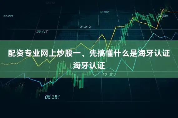 配资专业网上炒股一、先搞懂什么是海牙认证海牙认证