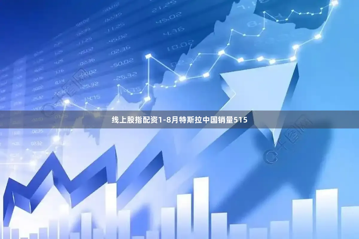 线上股指配资1-8月特斯拉中国销量515